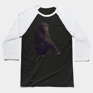 Chimpanzee Info Graphic Baseball T-Shirt